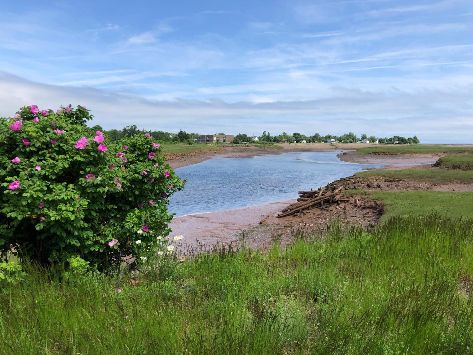 Pleasant Street Inn Parrsboro 外观 照片