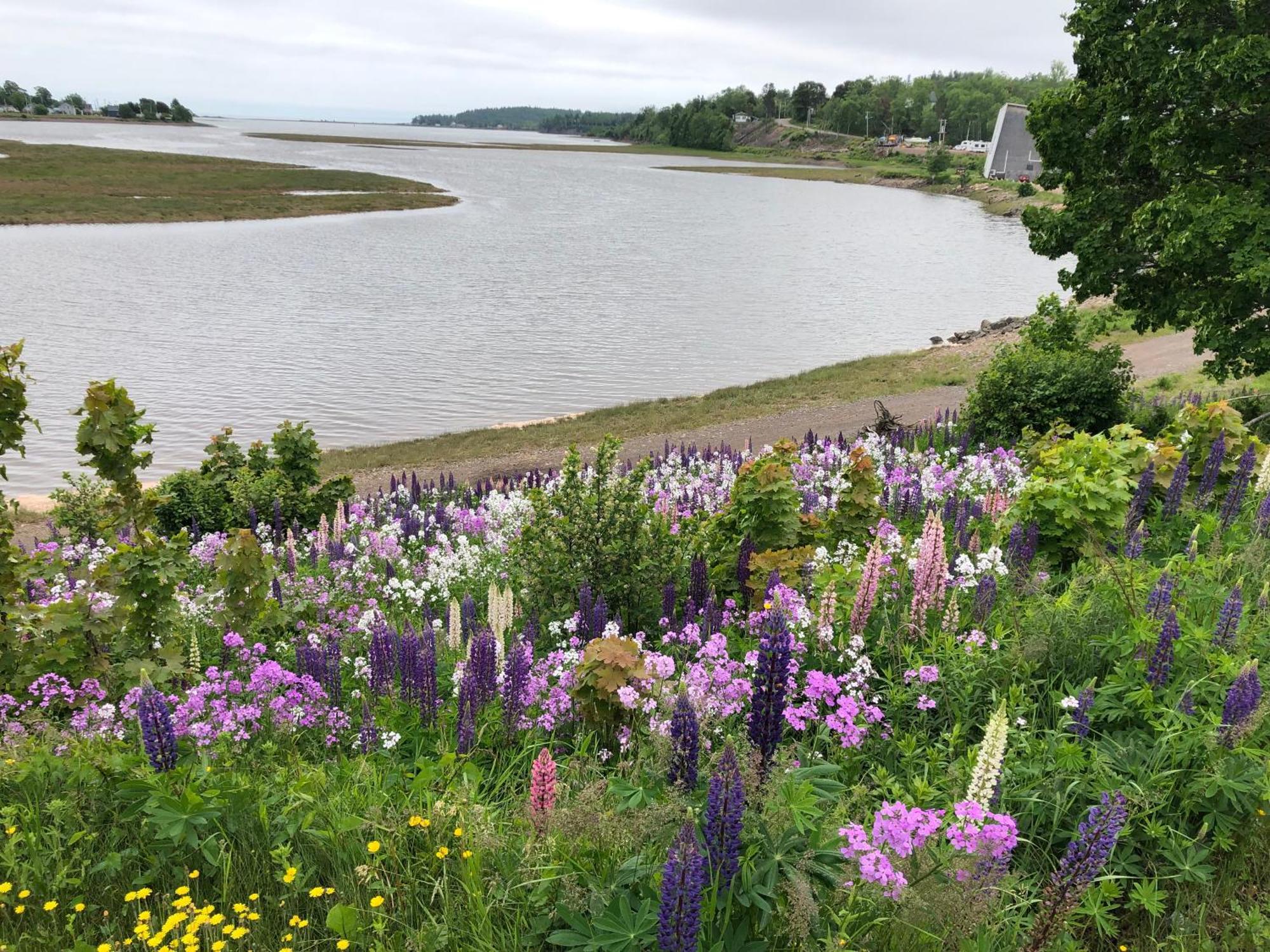 Pleasant Street Inn Parrsboro 外观 照片